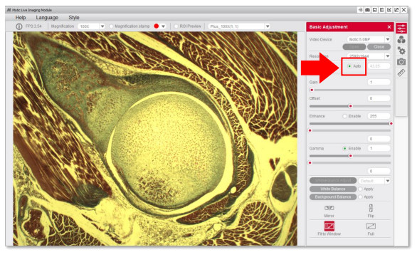motic images plus成像軟件怎么把背景調(diào)成白色