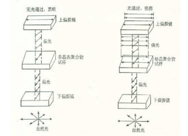 偏光顯微鏡成像原理圖解